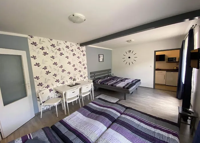 Pensionat Kamejk Kamyk nad Vltavou